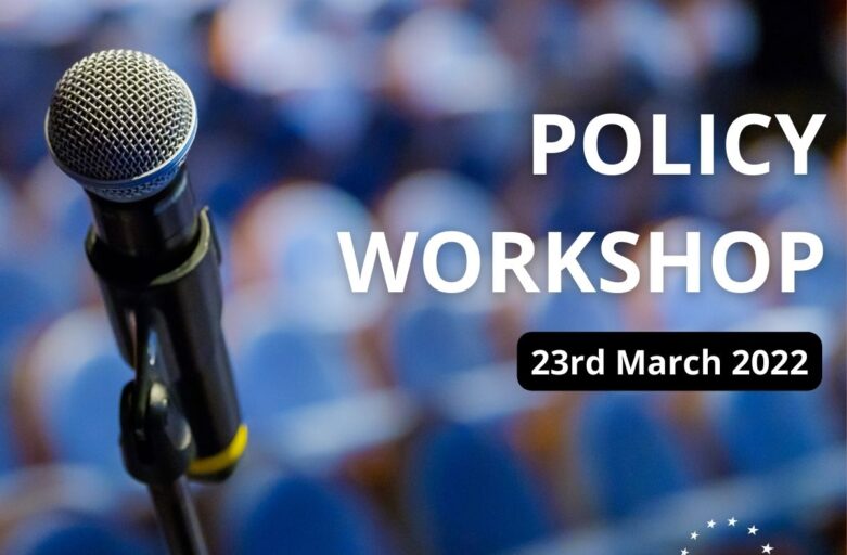 IMAJINE Policy Workshop